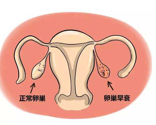 北京试管助孕机构,找女人代怀产子公司,试管婴儿包成功包生男孩