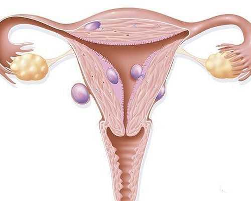 2023青岛做试管婴儿多少钱?,哪些因素会影响青岛试管婴儿的价格？