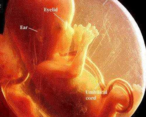 2024代妈试管三代助孕生子机构排名汇总?