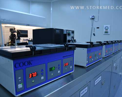 2024在代妈做三代试管婴儿费用大约多少钱？可以报销吗？