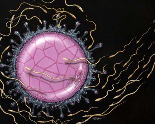 备孕姨妈不准时竟然是因为这个…… 哪家代孕机构最好