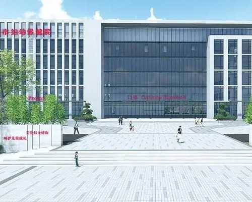 重庆代妈助孕中心 2024年重庆公立医院试管成功率有多高? ‘女宝宝和男宝宝四