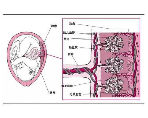 代妈不孕不育怎样治,代妈大学第一附属医院做试管婴儿费用及成功率怎么样？