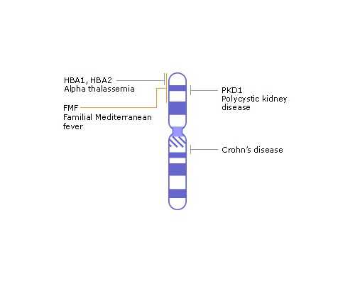 代妈宁儿妇产医院全球招聘377个岗位虚席以待