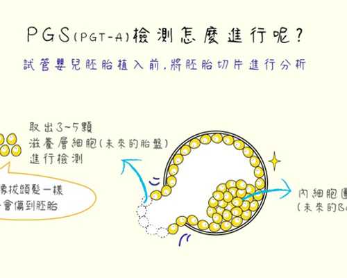 代妈中信湘雅第三代试管婴儿成功率和费用是多少?