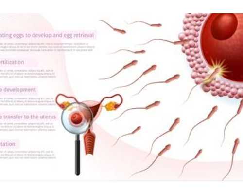 上海哪家医院的试管助孕技术最好？,上海一妇婴三代试管婴儿费用明细，2022助