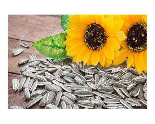 2023郑州供卵助孕机构排名公布，附郑州最大的供卵机构详情