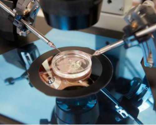 怀孕能力强不强，关键看着3??点 供卵代怀试管的医院