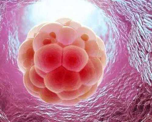 3万找私人重庆代妈 重庆做供卵试管最强五医院排名更新完毕 ‘什么时b超看男