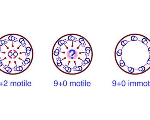 代妈孕妇怀上八胞胎后医生建议减胎的原因你知道吗？