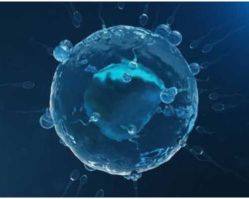 姐妹们代妈天子助孕中心怎么样？有人在那里做过吗