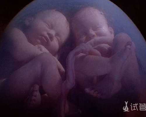 急找重庆代妈费用 2024重庆市妇幼保健院做三代试管供卵费用全新分析 ‘酒精验