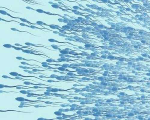 沈阳代孕中心哪里有