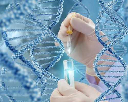 武汉供卵华中卵子库,武汉有供卵试管婴儿吗