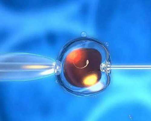 代妈仁济医院试管成功率高不高？值得选择吗？